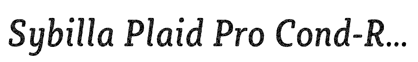 Sybilla Plaid Pro Cond-Reg It